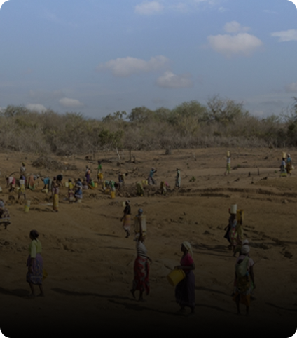 عنصر إنساني 1