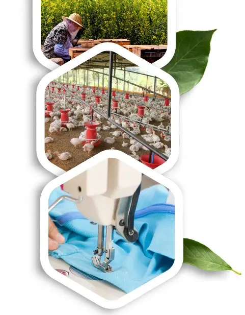 برنامج ريليف سنتر