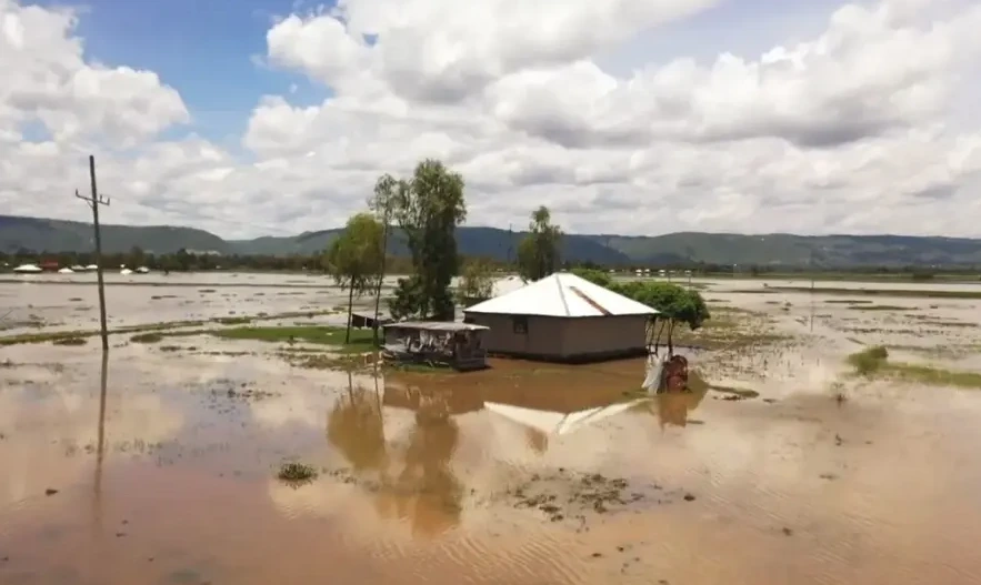 Flood Disaster in Kenya: Between Escalating Losses and Response Challenges