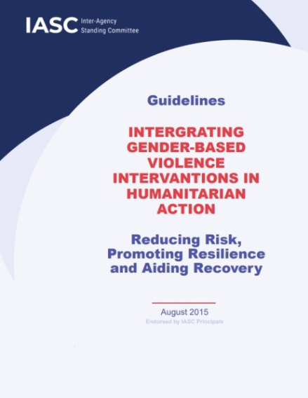 IASC Guidelines on GBV in Humanitarian Action