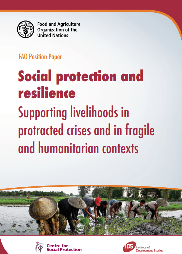 دعم سبل العيش في الأزمات الممتدة – الفاو